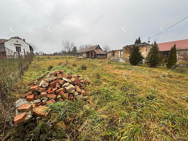 Ady Endre, Szentliszló képe