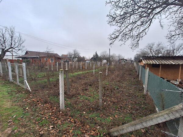 Virágos, Hódmezővásárhely képe