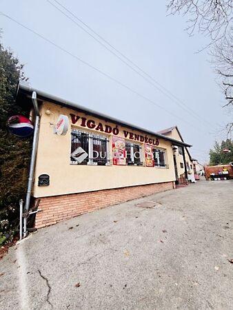 Vigadó, Pécs képe