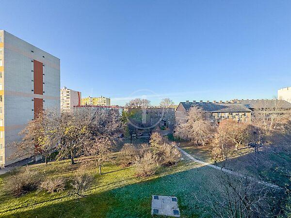 Pillangó, Budapest, XIV. kerület képe