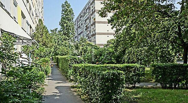 Pillangó, Budapest, XIV. kerület képe