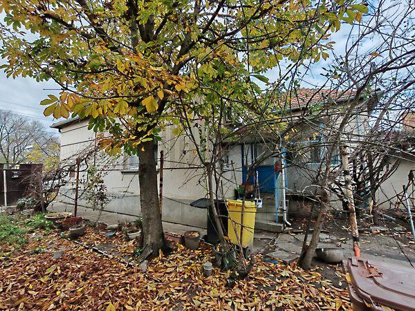 Madarász, Szeged képe