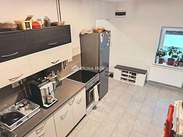 Püspökmolnári képe