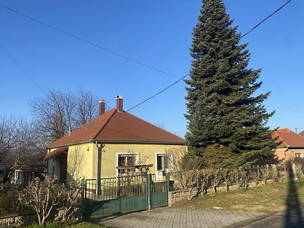 Kehidakustány képe