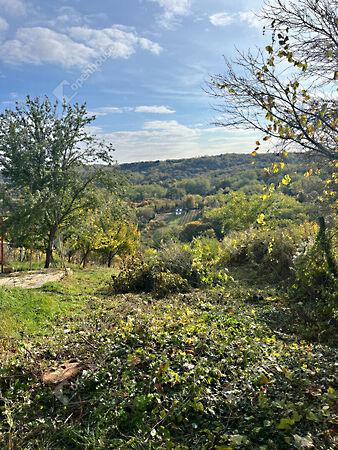 Szabadság, Pethőhenye képe