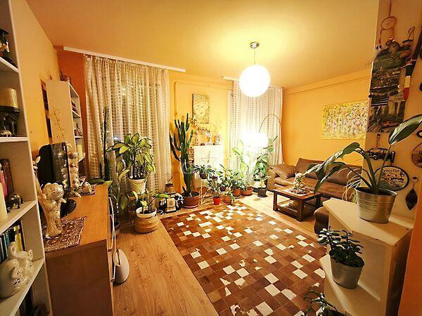 Szentmihályi, Budapest, XIV. kerület képe