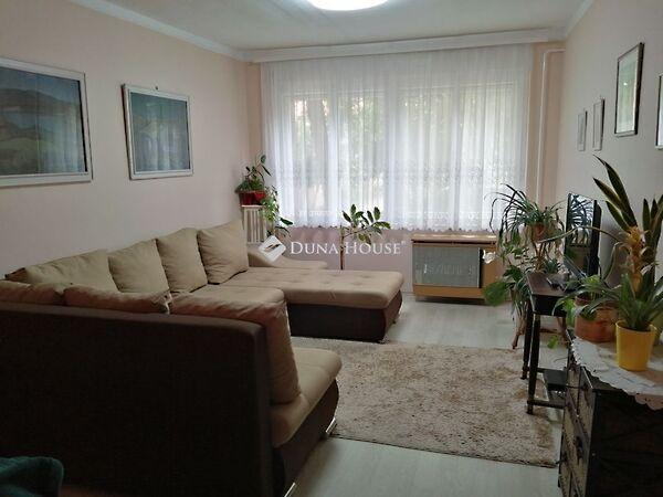 Mester, Kecskemét képe