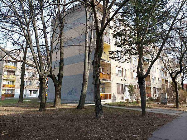 Rácz Ádám, Miskolc képe