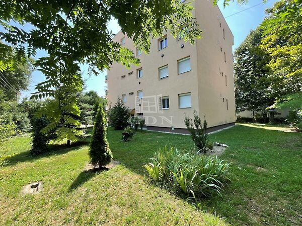 Katona József, Székesfehérvár képe