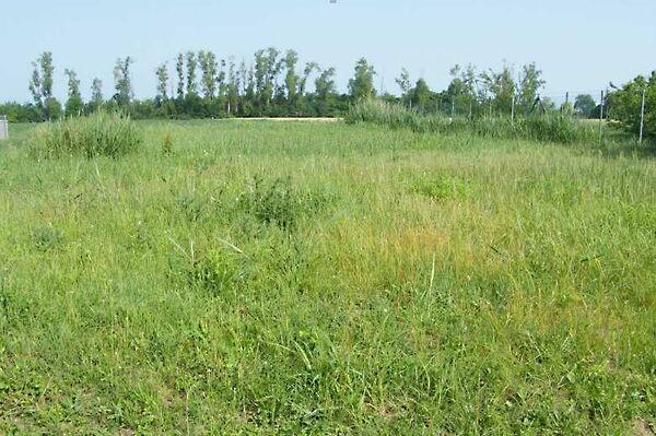 Balatonszabadi képe