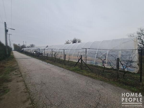 Hódmezővásárhely képe