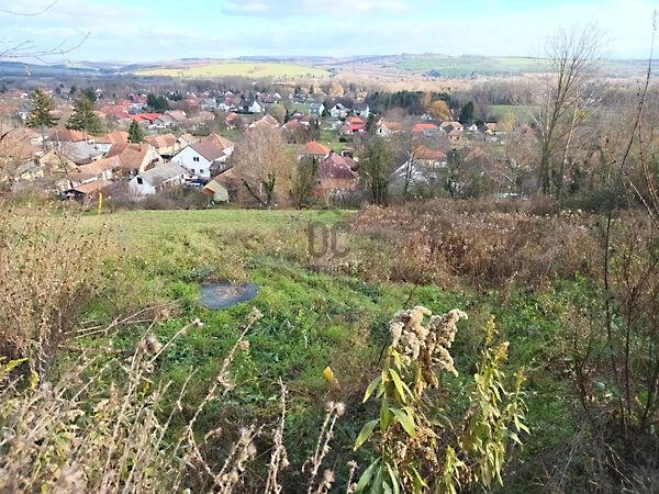 Kehidakustány képe