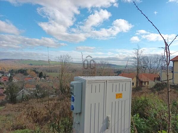 Kehidakustány képe