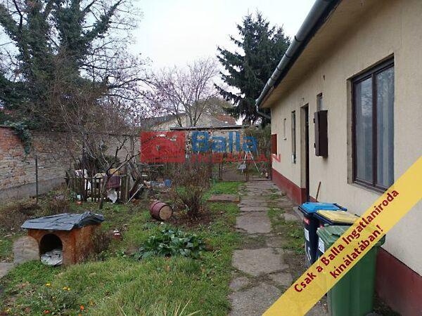 Irányi Dániel, Budapest, XIX. kerület képe