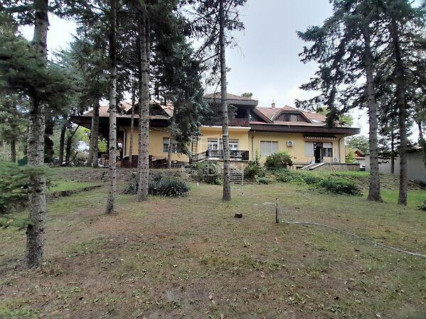 Tamási Áron, Göd képe