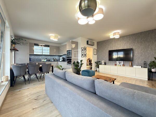 Nefelejcs, Székesfehérvár képe