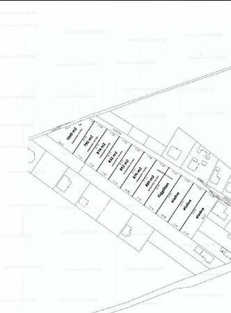 Szőlő, Dány képe