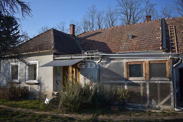 Erdő, Nemesrempehollós képe