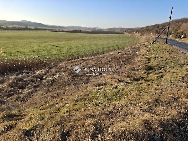 Széchenyi, Dág képe