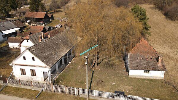 Kossuth, Imola képe