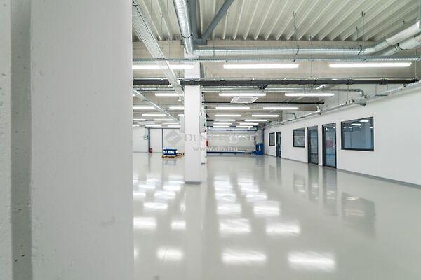 Siklósi, Pécs képe