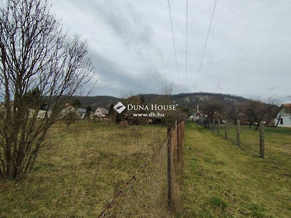 József Attila, Szárliget képe