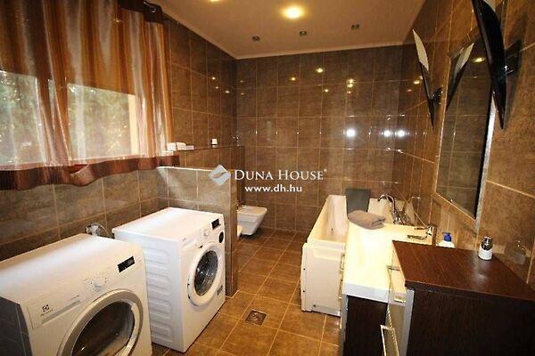 Virág, Mogyoród képe