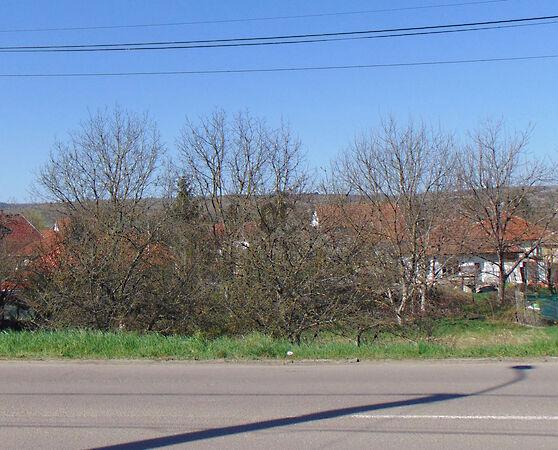 Andornaktálya képe