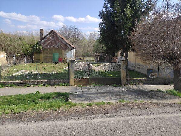 Szabadság, Bár képe