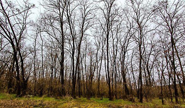 Nógrádmarcal képe