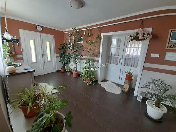 Budai Nagy Antal, Kondoros képe