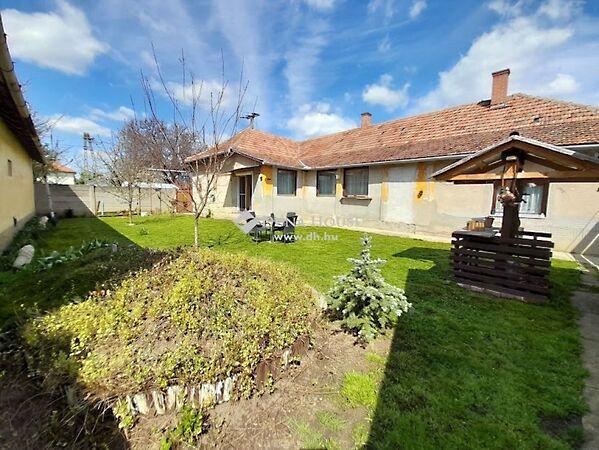 Budai Nagy Antal, Kondoros képe