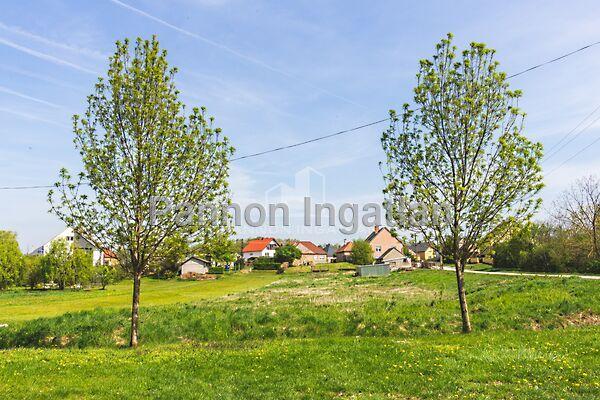 Nagyesztergár képe