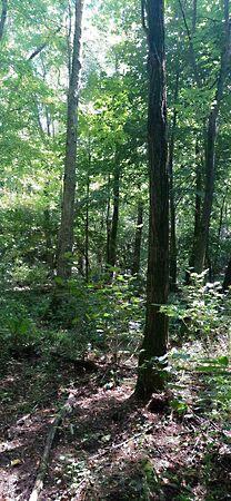 Kaposkeresztúr képe