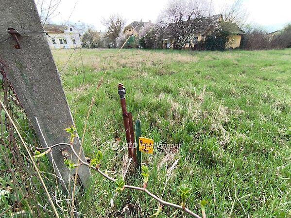 Kisújszállás képe