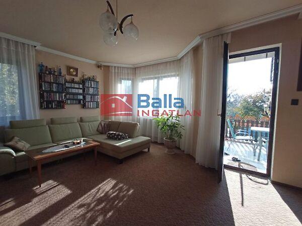 Szőlő, Csömör képe