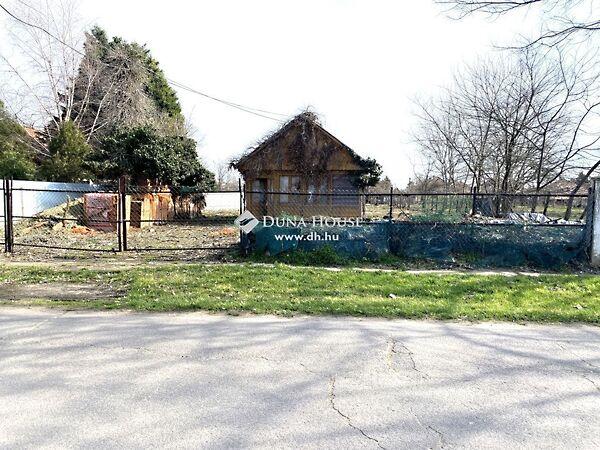 Petőfi, Újkígyós képe