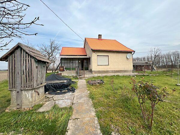 Sáros, Mohács képe