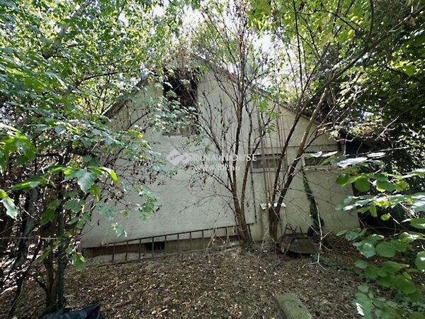 Barátság, Halásztelek képe