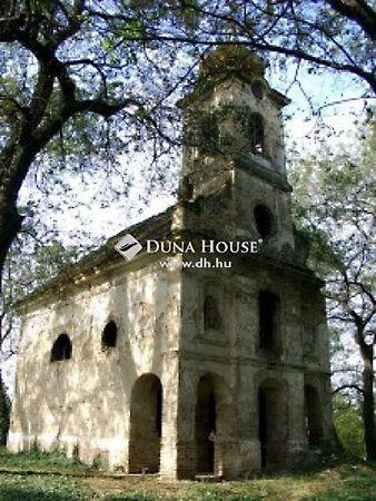 Ady Endre, Szedres képe