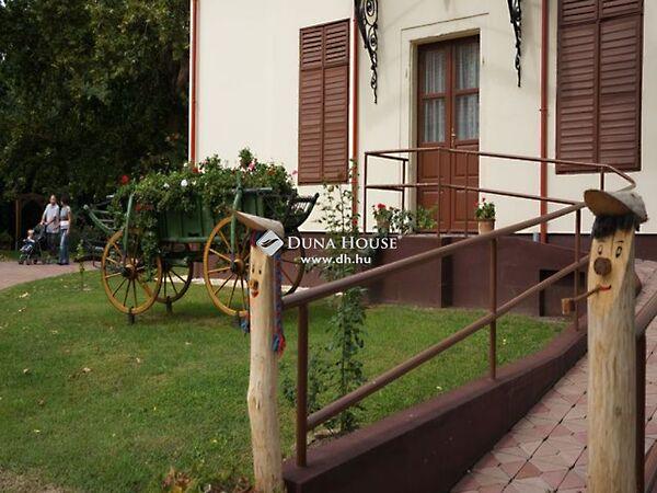 Ady Endre, Szedres képe