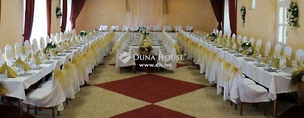 Ady Endre, Szedres képe