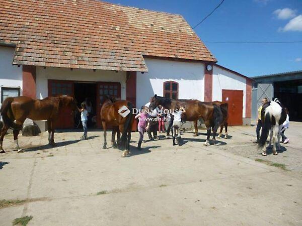 Ady Endre, Szedres képe