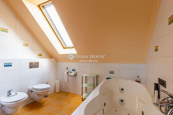 Boróka, Kistarcsa képe