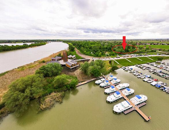 Platán, Kisköre képe