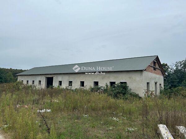 Petőfi, Darány képe