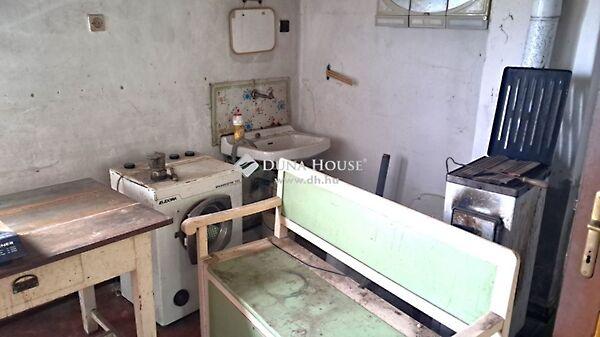 Szombathelyi, Lenti képe