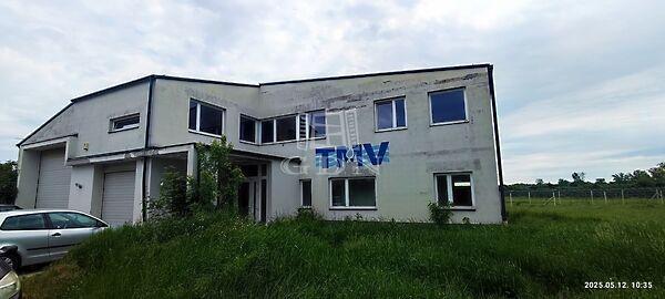 Rózsa, Újszentiván képe