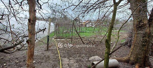 Kunszentmárton képe