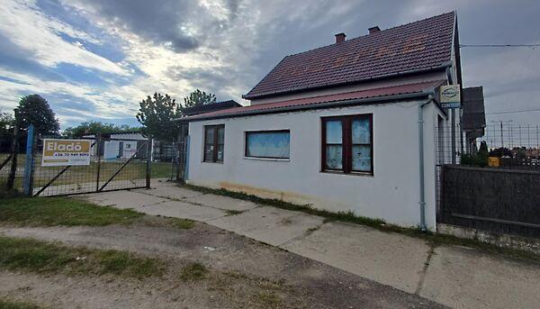 Szőlő, Nemesnádudvar képe